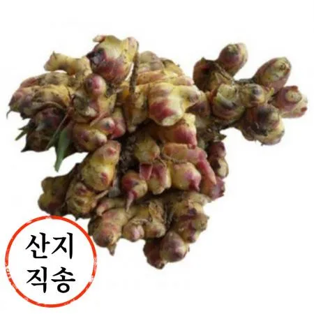 흙생강 1kg (소분,국내산)