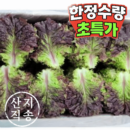 꽃상추 4kg (특,국내산)BOX 꽃 상추