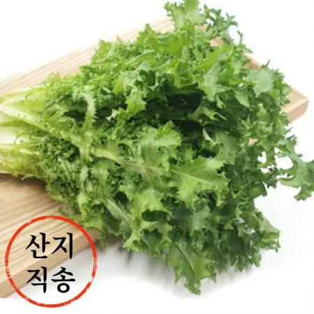 청치커리 1kg (특,국내산)