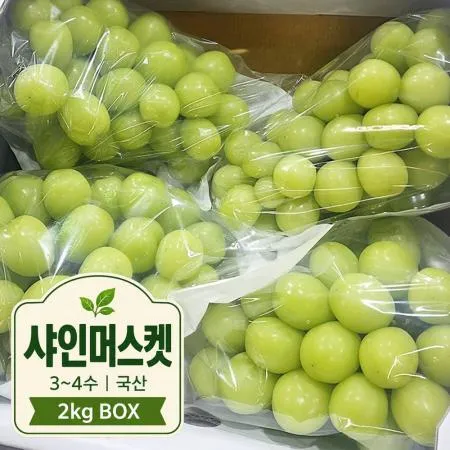 샤인머스켓 (3~4수 ,국산,2kg) BOX