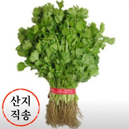 고수 1단 (300g, 국내산)
