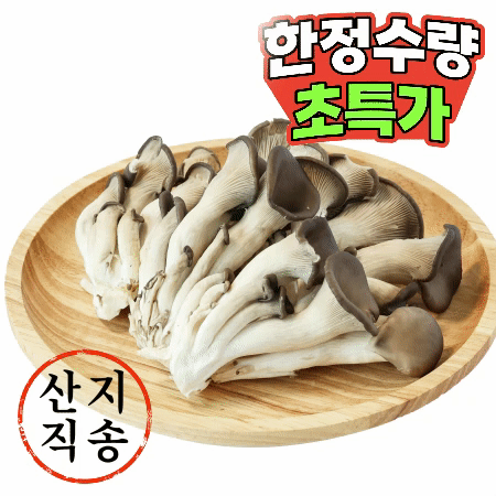 느타리버섯 1팩 (200g,국내산) 느타리 버섯
