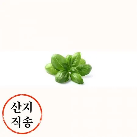 바질 100g (국내산)