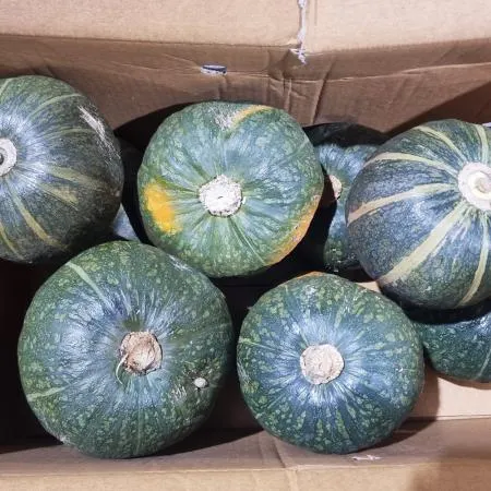 단호박(특,10~12수,국산)10kg BOX