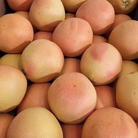 자몽 15kg 1박스 (45과,수입산) BOX 이미지