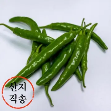 풋고추 1kg (상,국내산)