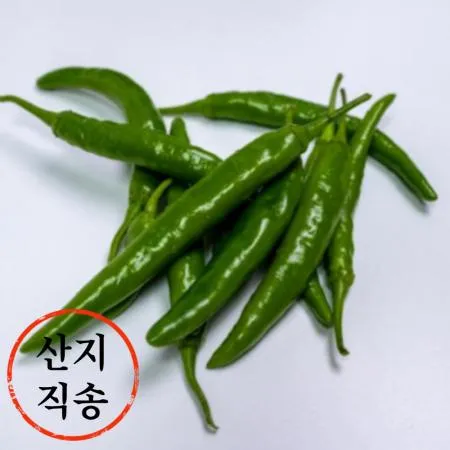 풋고추 1kg (상,국내산)