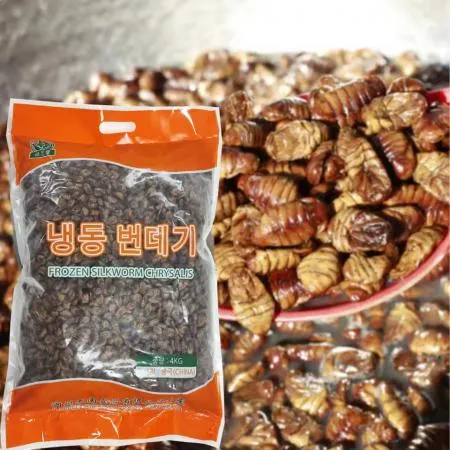 냉동 번데기 4kg 뻔데기