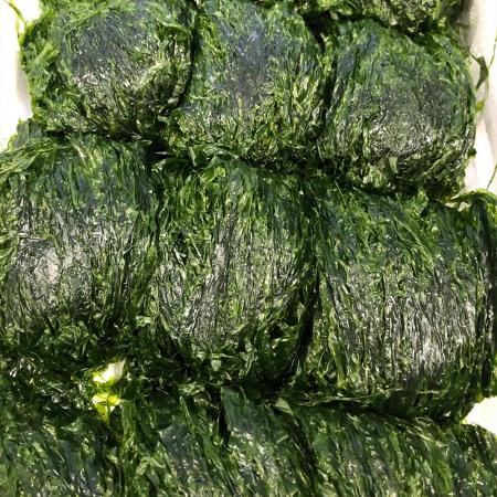 국산 물파래 2kg 완도 해남 국내산 생파래 파래무침