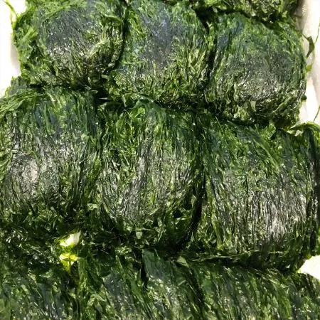 국산 물파래 2kg 완도 해남 국내산 생파래 파래무침
