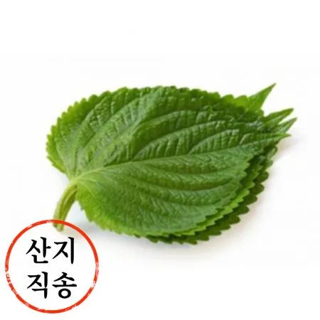 깻잎 1속_10장 (국내산)