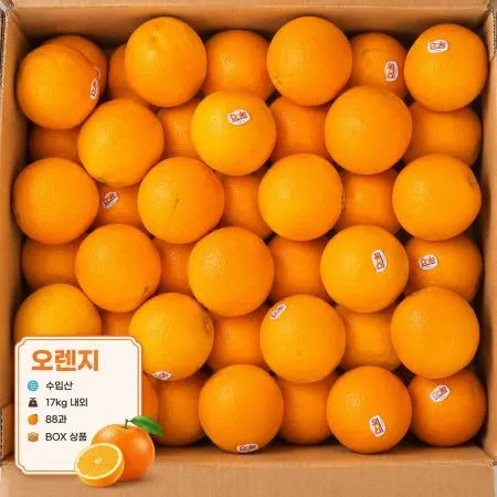 오렌지 17kg 내외 (88과) 수입산 BOX 