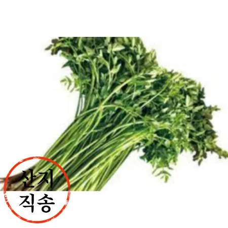 돌미나리 4kg (국내산)