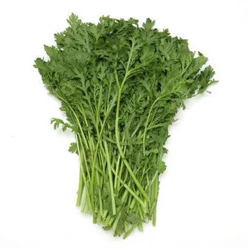 쑥갓 1단 (국내산)