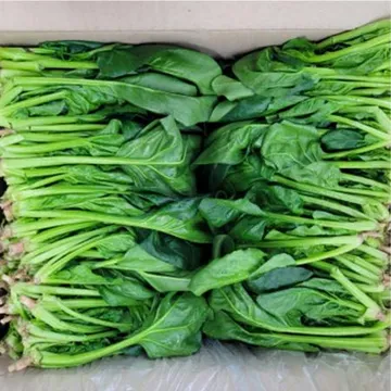 시금치 4kg (김밥용, 국내산)BOX