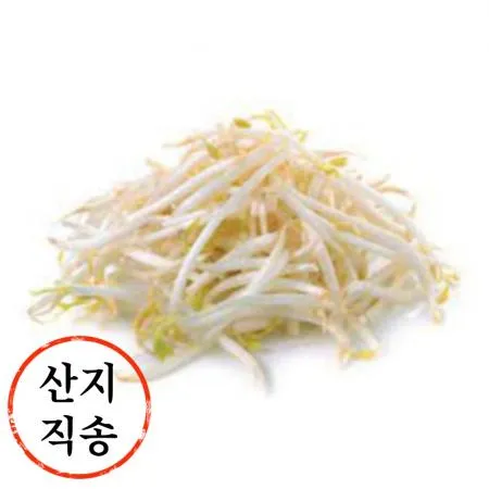 숙주 1kg (소분,국내산)