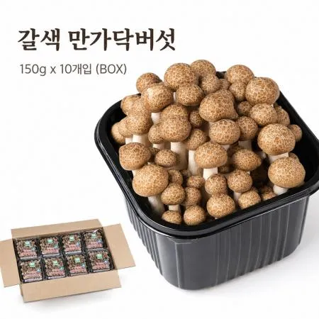 갈색만가닥버섯 1.5kg(150g*10팩)BOX 