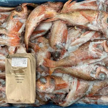 붉은 볼락 10kg (100/200,65미,적어,냉동)