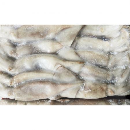 베이트 오징어 3kg (냉동) 중국산