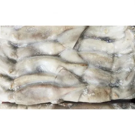 베이트 오징어 3kg (냉동) 중국산