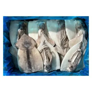 할복 오징어 4kg 중국산 손질