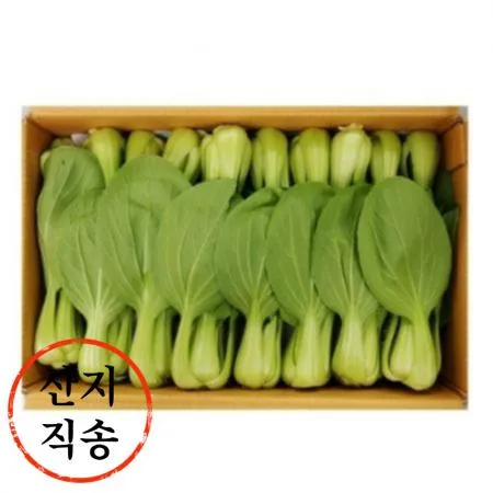 청경채 4kg (특,국내산)BOX