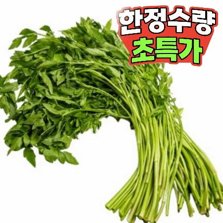 미나리 1단 (500g내외,국내산)