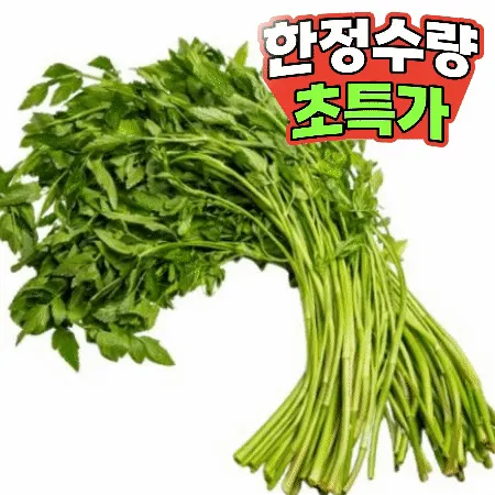 미나리 1단 (500g내외,국내산)