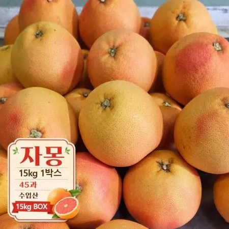 자몽 15kg 1박스 (45과,수입산) BOX