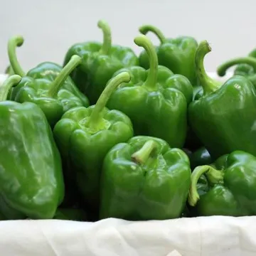 청피망 1kg (상,국내산) 청 피망
