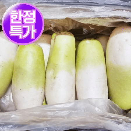 ★초특가★ 세척무 17kg이상 8-12수 1BOX (특,국내산) 무우