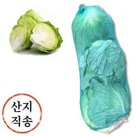 양배추 3개입 (45망,특,국내산)