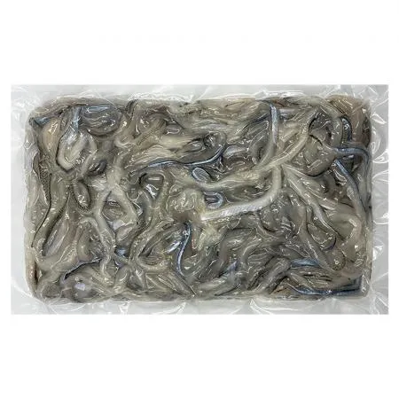 학꽁치 채 500g (냉동)