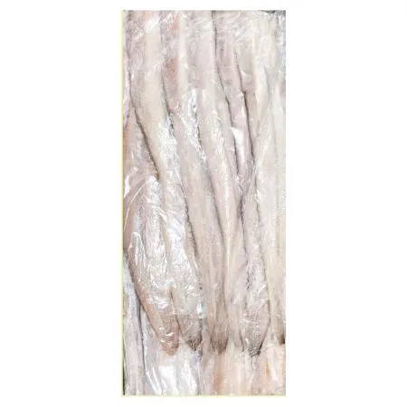 붕장어 필렛 18kg (46/50) 냉동 바다장어 아나고 BOX