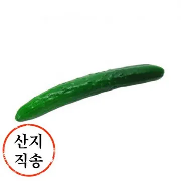 청오이 1개 (소분,국내산) 청 오이