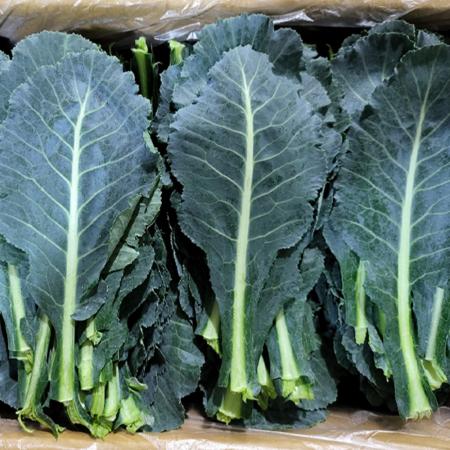 케일 2kg (상,국내산) BOX 쌈채소 야채