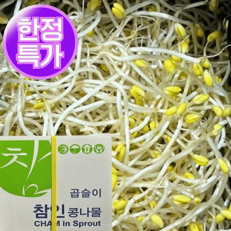 ★초특가★ 곱슬이 콩나물 3.5kg (±200g)