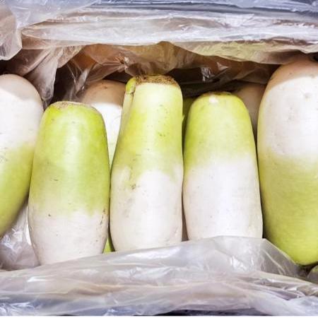 세척무 12~15수 1BOX(17kg이상,국내산) 무우