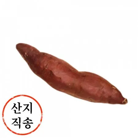 밤고구마 10kg (긴특,국내산)BOX