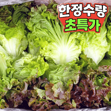 적상추 4kg (상,국내산) 적 상추