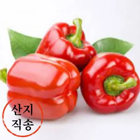 빨강 파프리카 1kg (국내산)