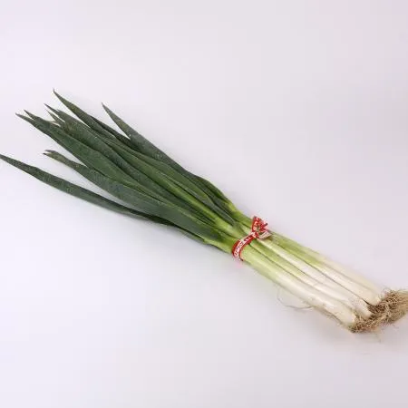 대파 한단 1kg 내외 이미지