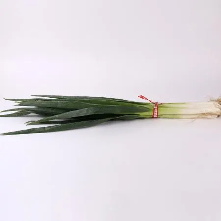 대파 한단 1kg 내외 이미지