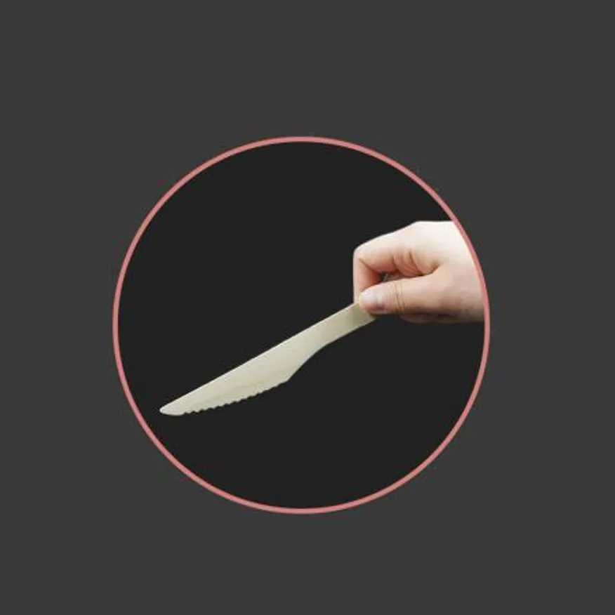 160mm 우드나이프 개별포장 2000개입 이미지