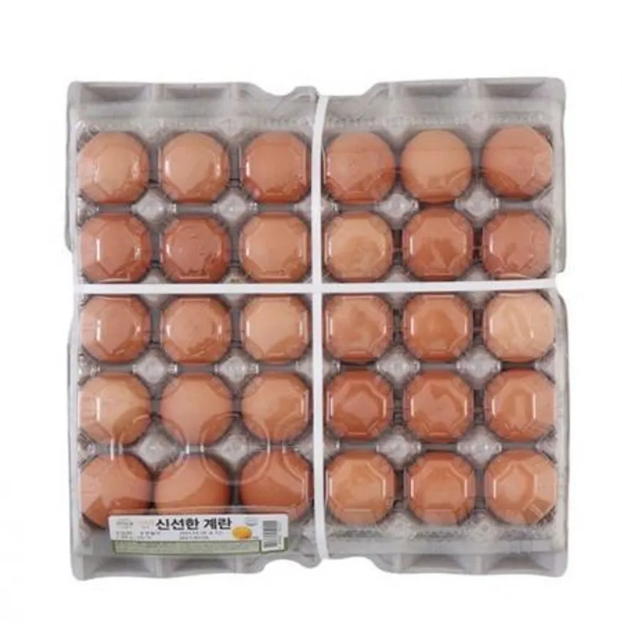 계란/특란 1판 이미지