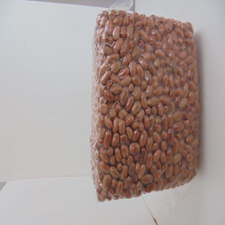 땅콩3.75k햇땅콩