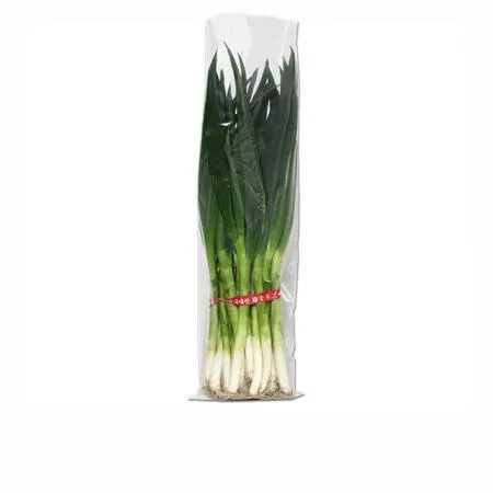 대파 1kg 무지봉투 200*800mm - 800장