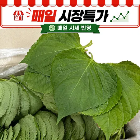 ★매일시장특가★ 깻잎(찹찹이 특 1KG/BOX)