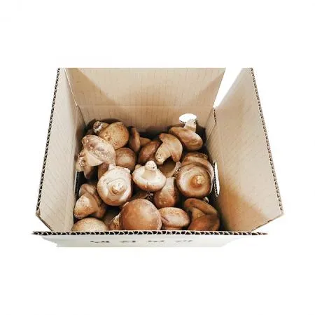 ★초특가★ 표고버섯(특품 프레시 KG)/국내산 이미지