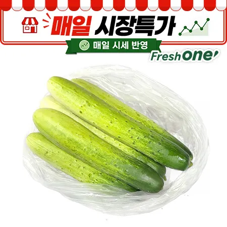 ★매일시장특가★ 프레시원 다다기오이(국산, 5입 내외) 백오이